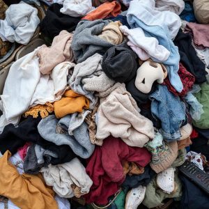 Pellicce di pecora o eco-pelle PU: quale è più ecologica?
