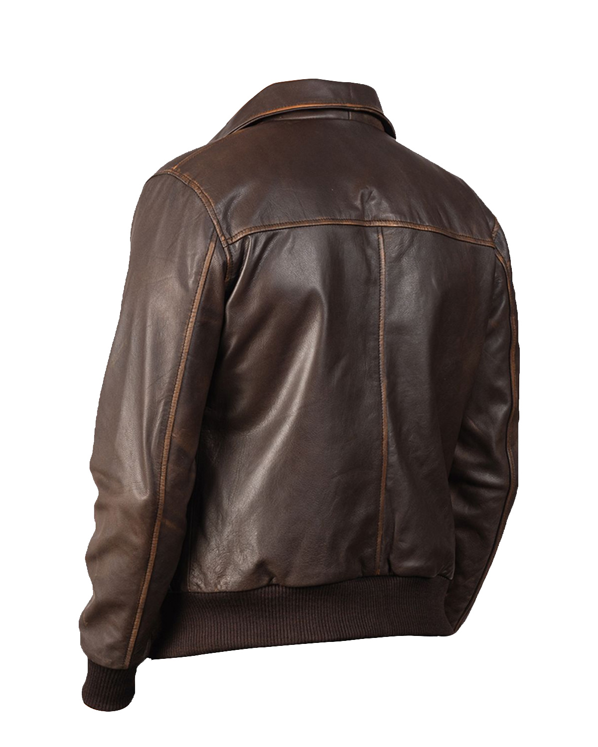 Giacca in pelle Luis Bomber